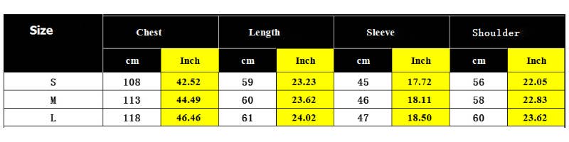 JAPANESE STRIPED LAPEL COLOR LONG-SLEEVED SWEATER