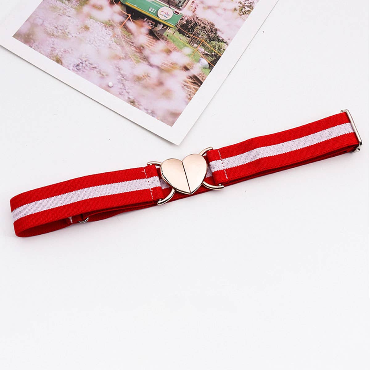 HEART HOOK ELASTIC ADJUSTABLE BRAIDED BELT_CWABE0679