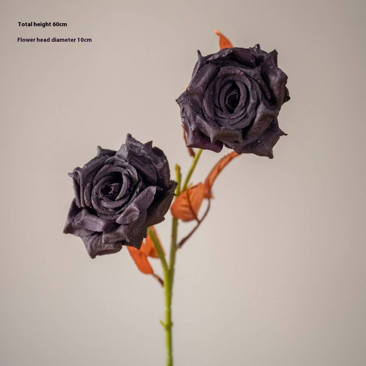 Dried Tone Burnt Edge Rose Bouquet for Decor