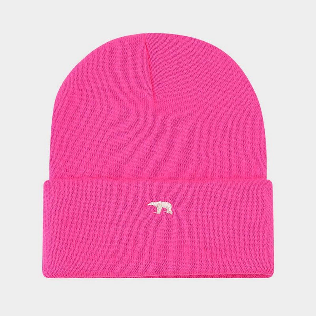 EMBROIDERED THICK WARM KNITTED HAT_CWAH2124