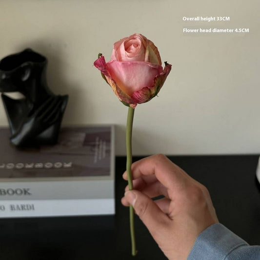 Burnt Edge Angora Rose for Home & Photo Decor_CWMM6571