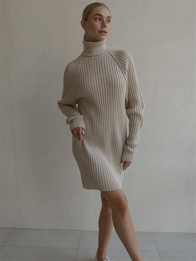 PIT STRIP SOLID COLOR TURTLENECK SWEATER DRESS