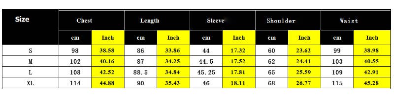 VINTAGE SLIM LONG-SLEEVED SHIRT DRESS