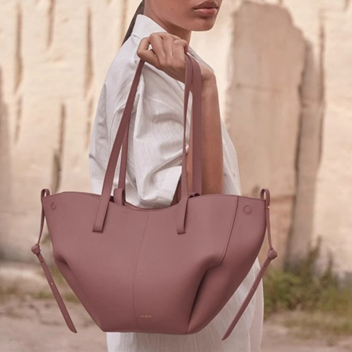 Vintage Winged Tote ? French Style Handbag_CWAB5322