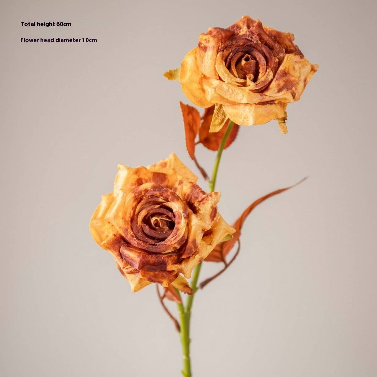 Dried Tone Burnt Edge Rose Bouquet for Decor