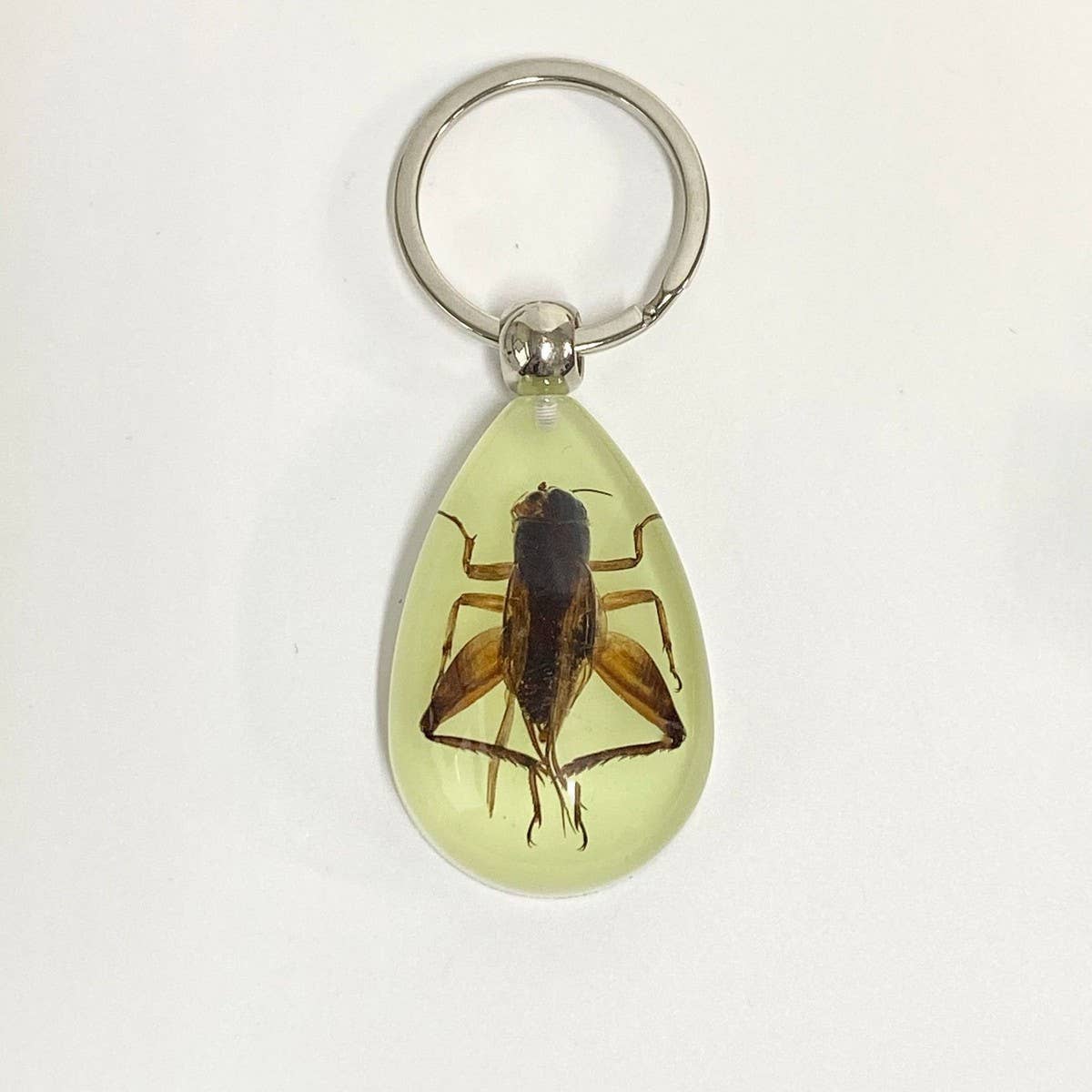 AMBER GLOW-IN-THE-DARK INSECT KEYCHAIN PENDANT_CWMM3698
