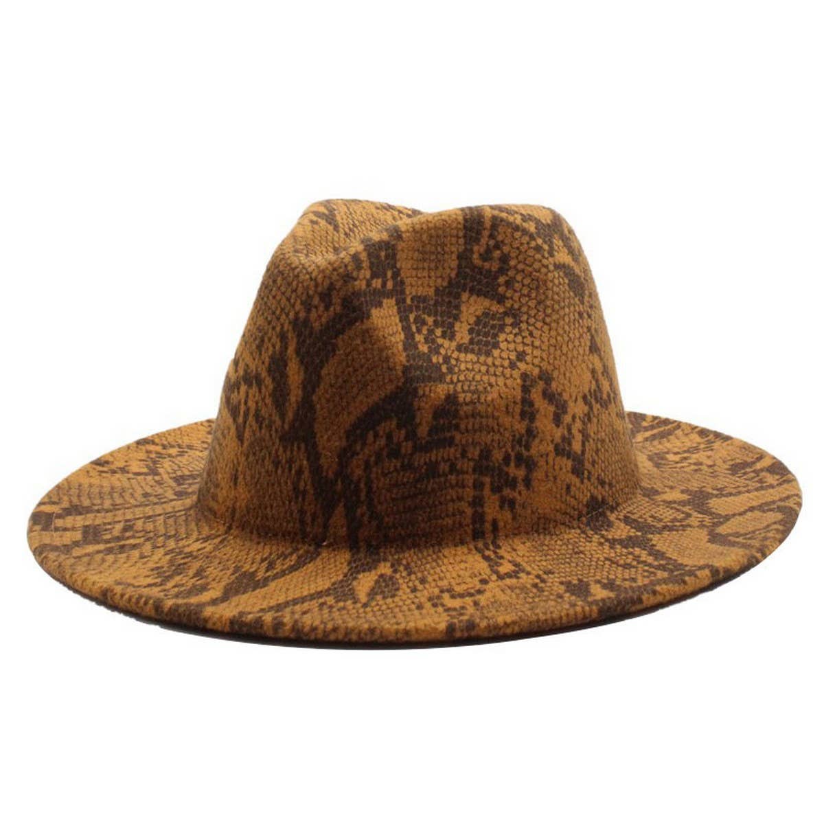 FASHIONABLE SNAKE PATTERN WOOLEN JAZZ HAT_CWAH2588