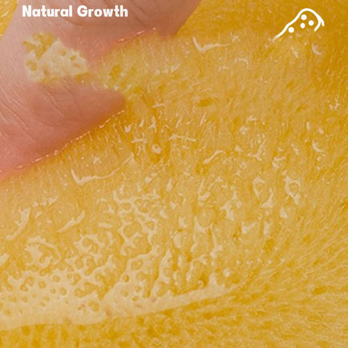 NATURAL COFFEE COLOR SPONGE HONEYCOMB SPONGE