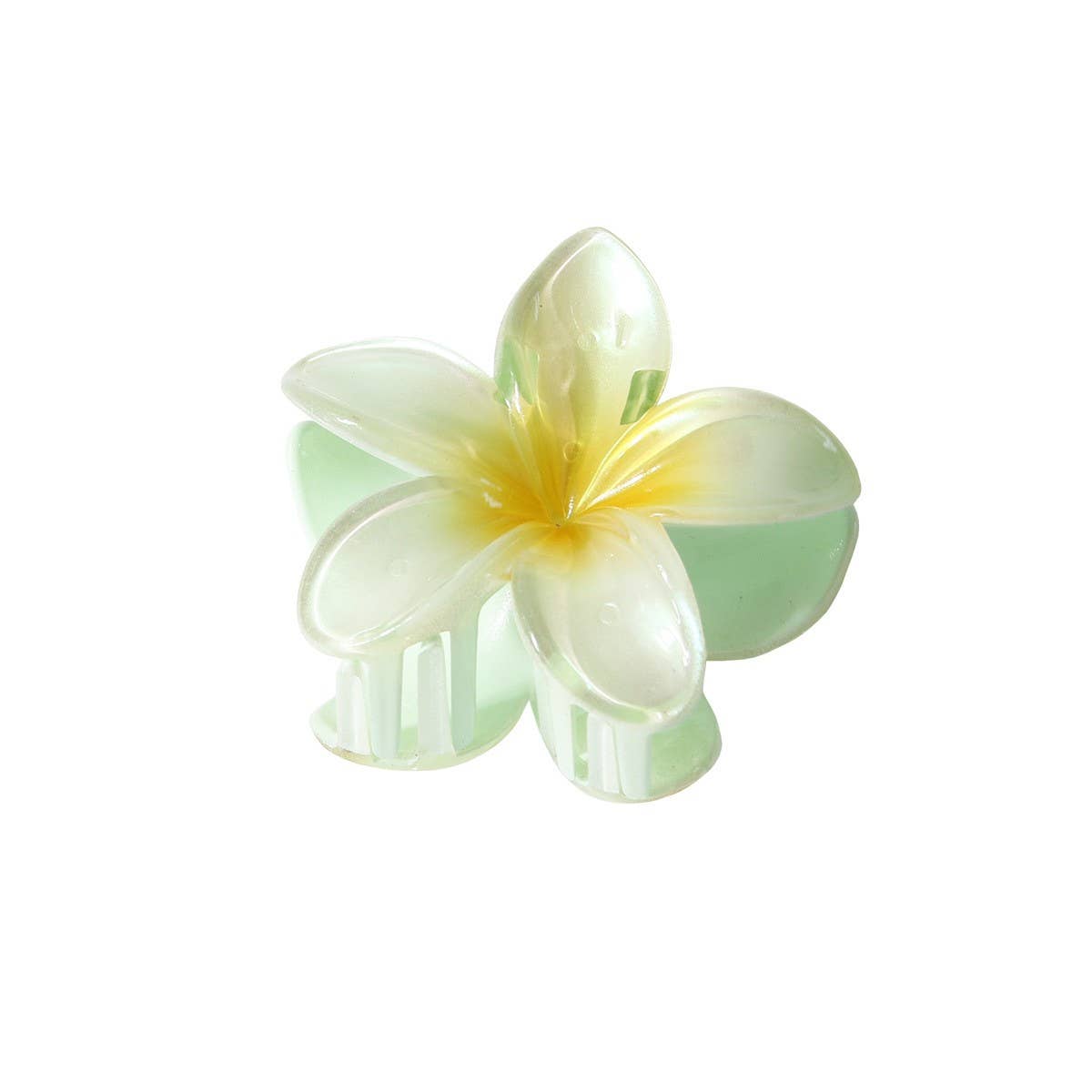 CWAHA07429_PEARL GRADIENT PLUMERIA HAIR CLAW CLIP LARGE