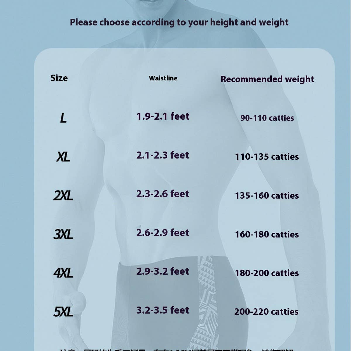 Men's 5-Inch Lined Quick Dry Swim Shorts Plus Size