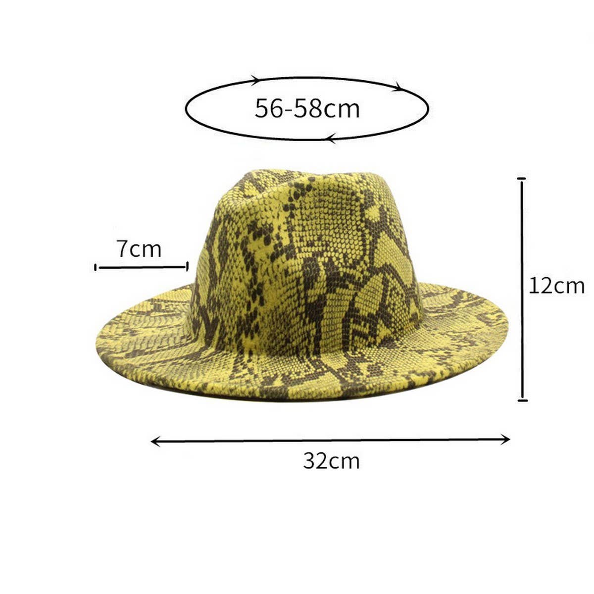 FASHIONABLE SNAKE PATTERN WOOLEN JAZZ HAT_CWAH2588