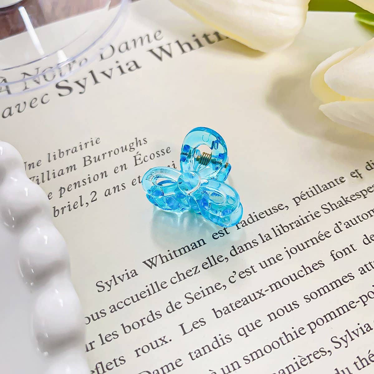 RAINBOW MINI TRANSPARENT GRIPPER CLAW CLIP_CWAHA0721