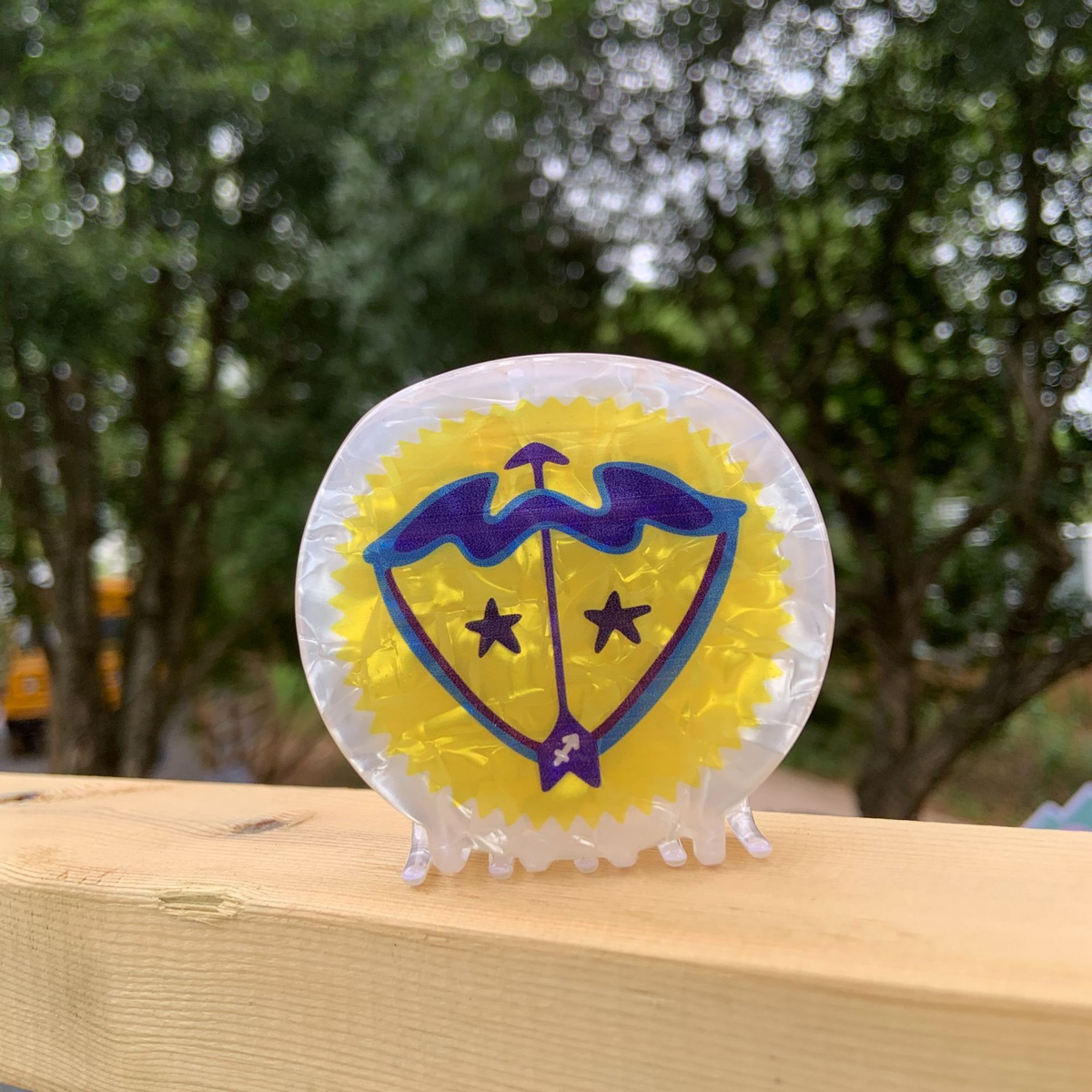 Star Sign Claw Clip ??Acrylic Cute Hair Accessor_CWAHA2141