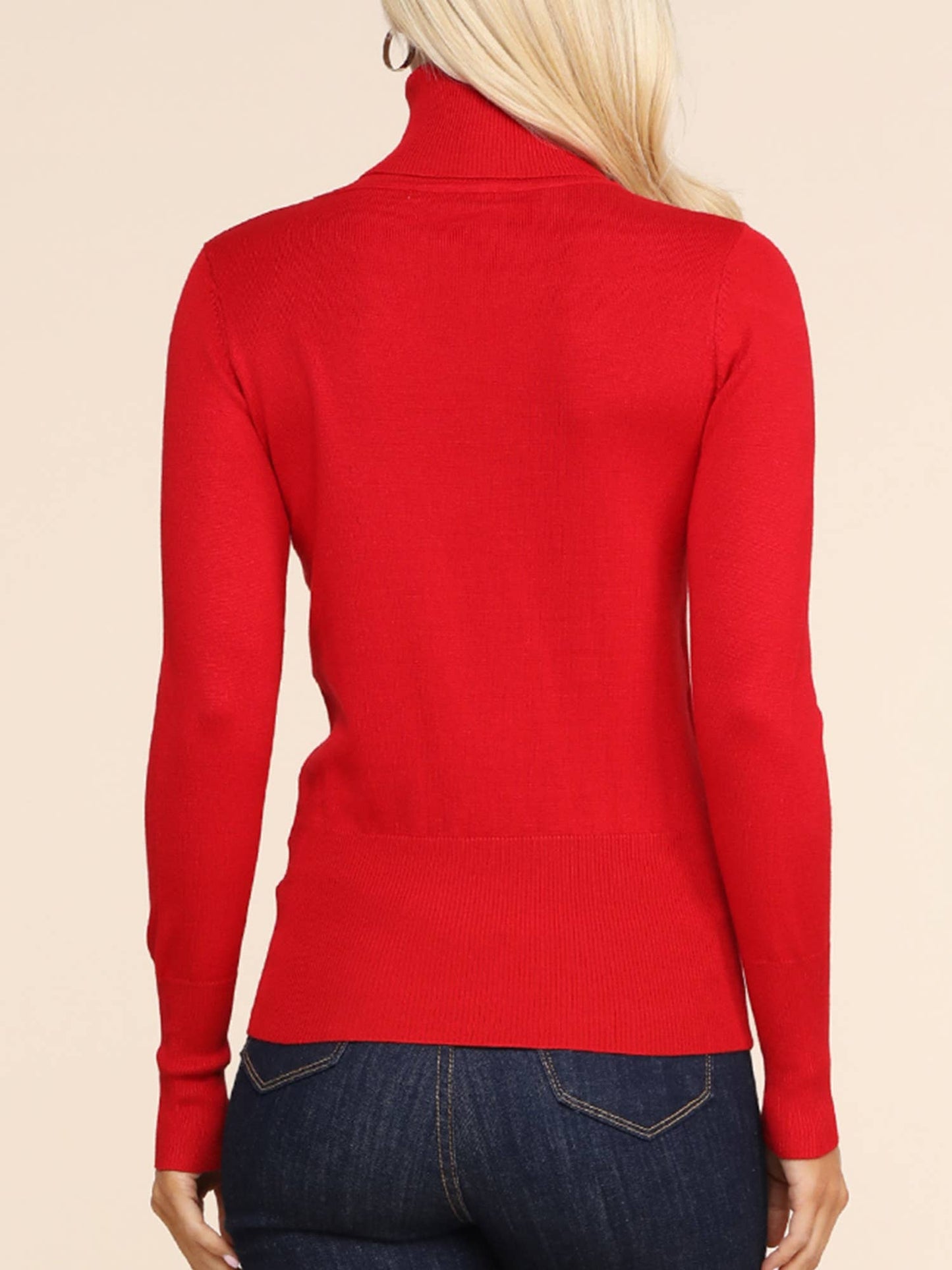 AWOSWL285_Stretch Turtle Neck Long Sleeve Pullover Sweater