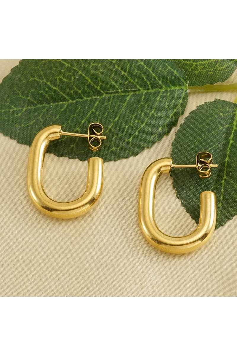 18K GOLD PLATED STAINLESS STEEL EARRINGS_CWAJE0383