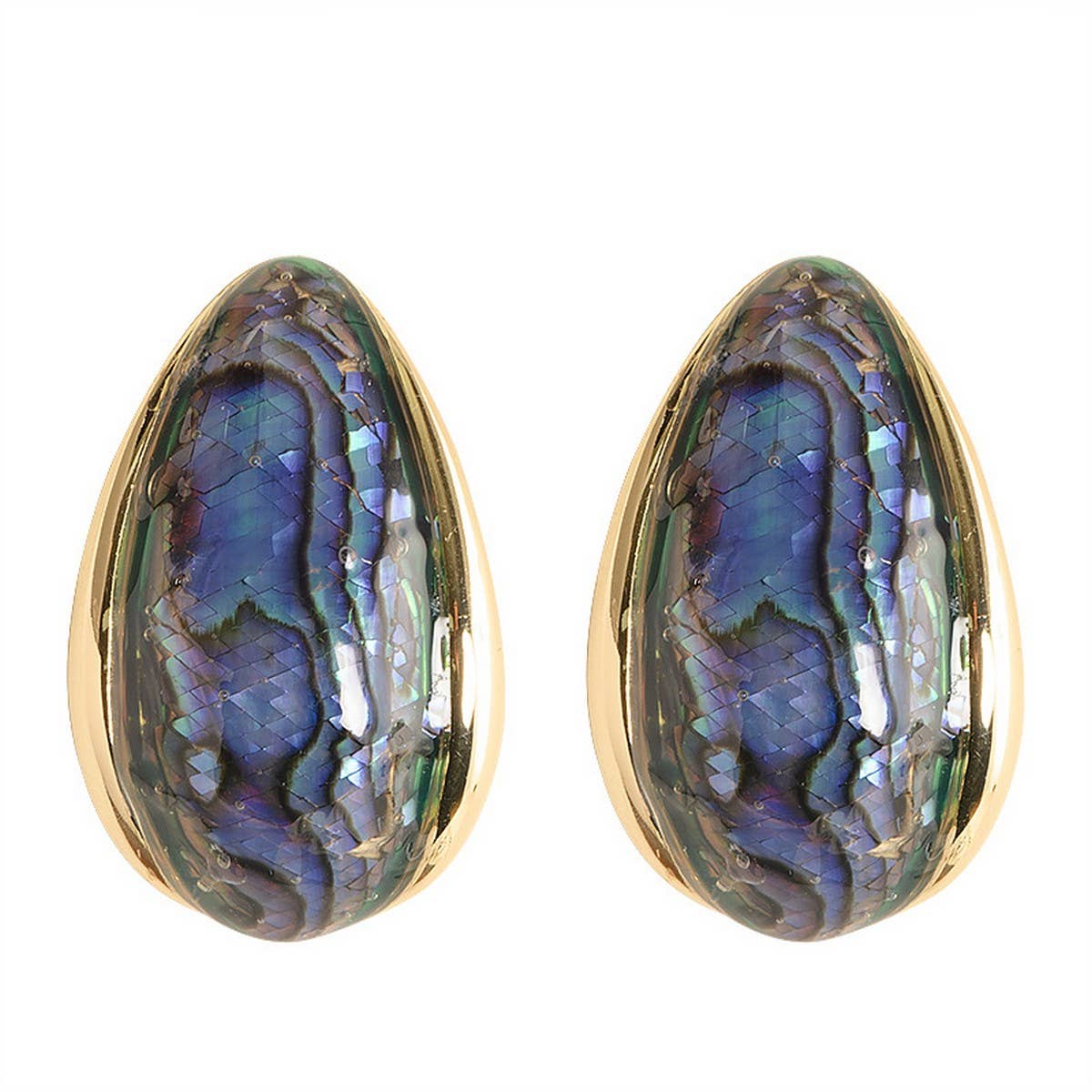 COLORFUL NATURAL ABALONE SILVER NEEDLE EARRINGS