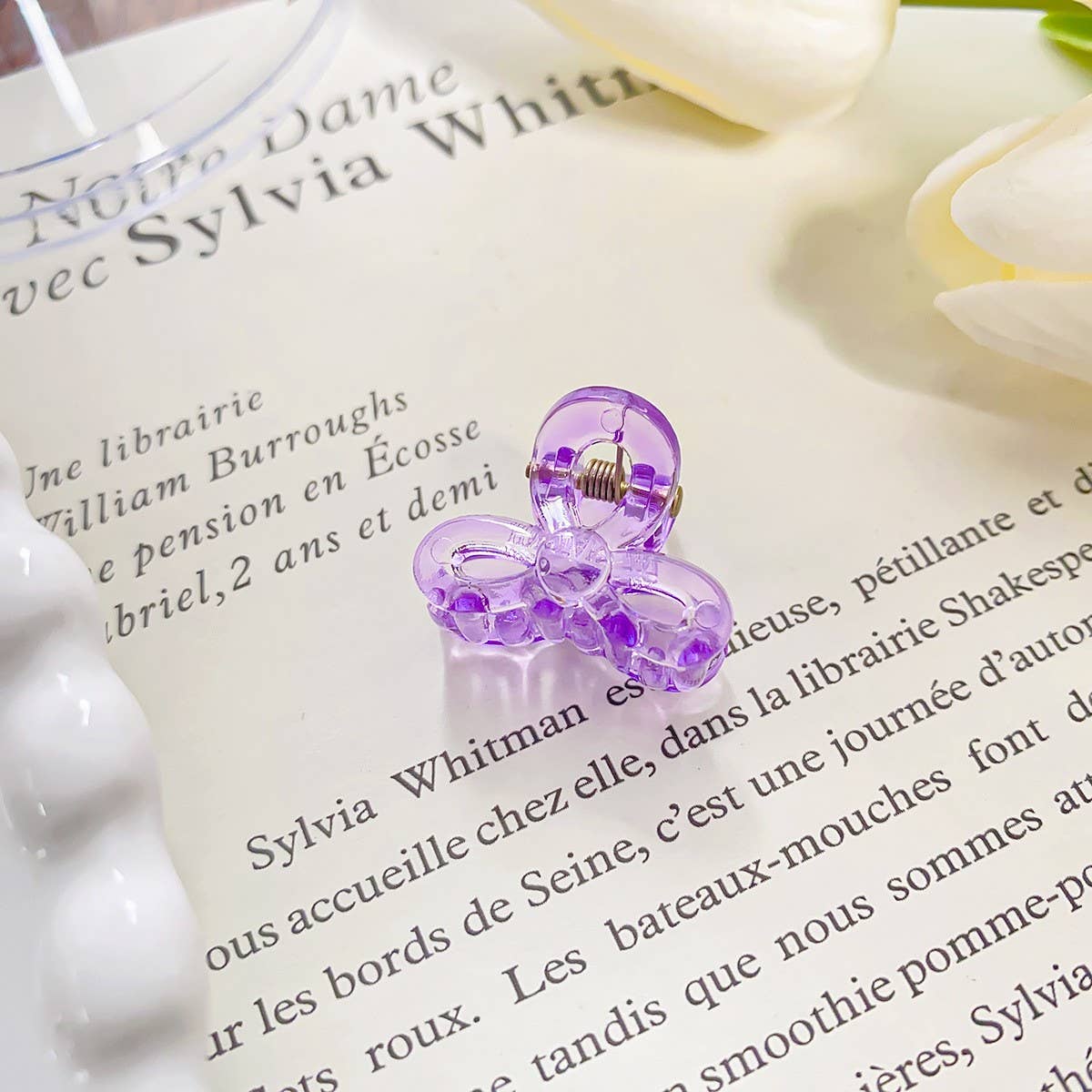 RAINBOW MINI TRANSPARENT GRIPPER CLAW CLIP_CWAHA0721