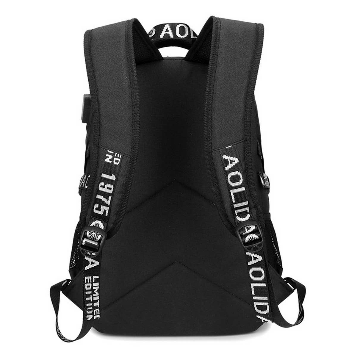 Backpacks for School, USB Laptop Bag for Boys_CWAB5475