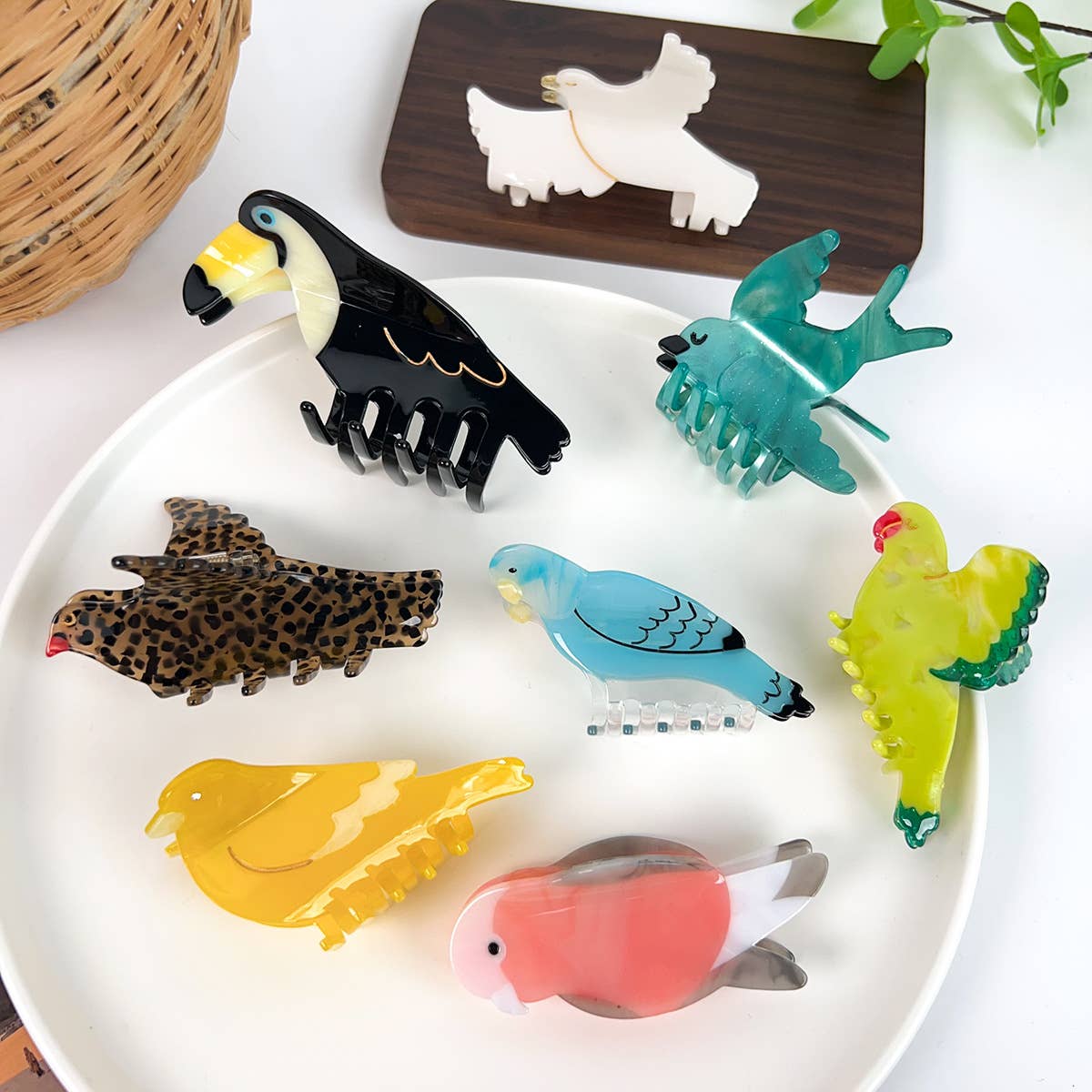 Parake-like acetate board hair clip headwear