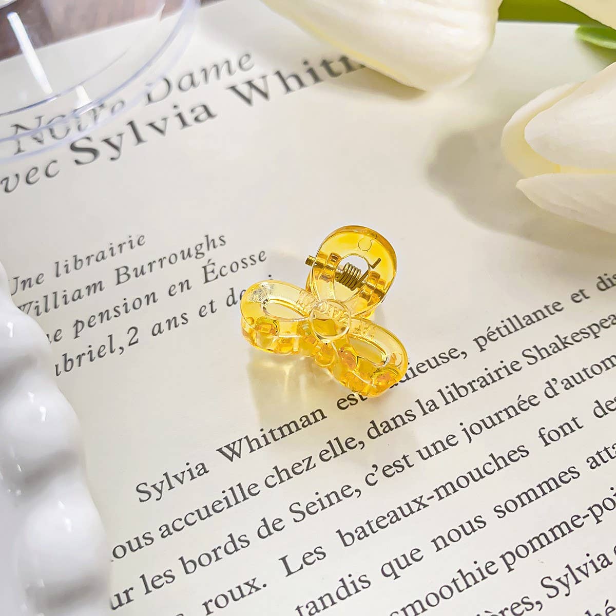 RAINBOW MINI TRANSPARENT GRIPPER CLAW CLIP_CWAHA0721