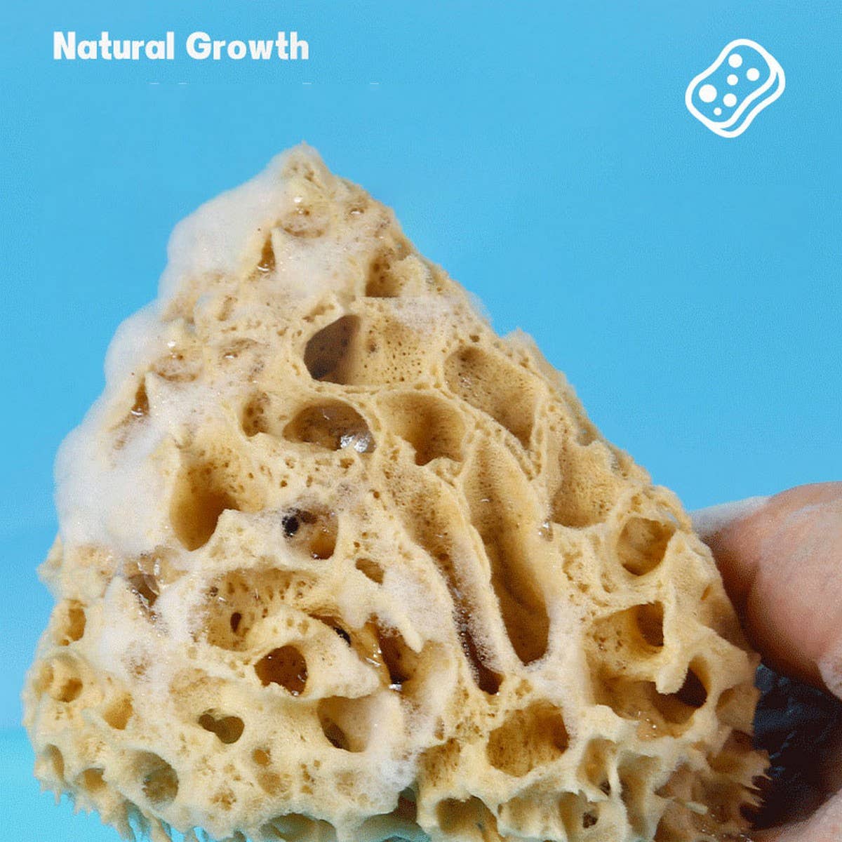 NATURAL COFFEE COLOR SPONGE HONEYCOMB SPONGE