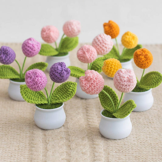 CWMM9284_TEACHER'S DAY HANDMADE CROCHETED TULIP POT