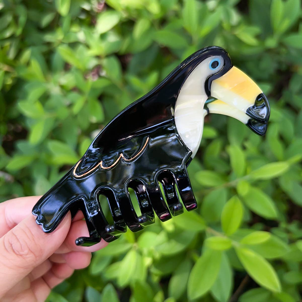 Parake-like acetate board hair clip headwear