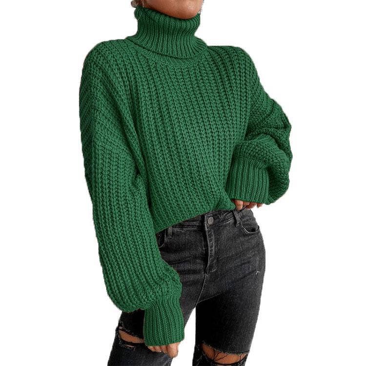 Long-Sleeved Pullover Turtleneck Sweater_Cwoswl3836