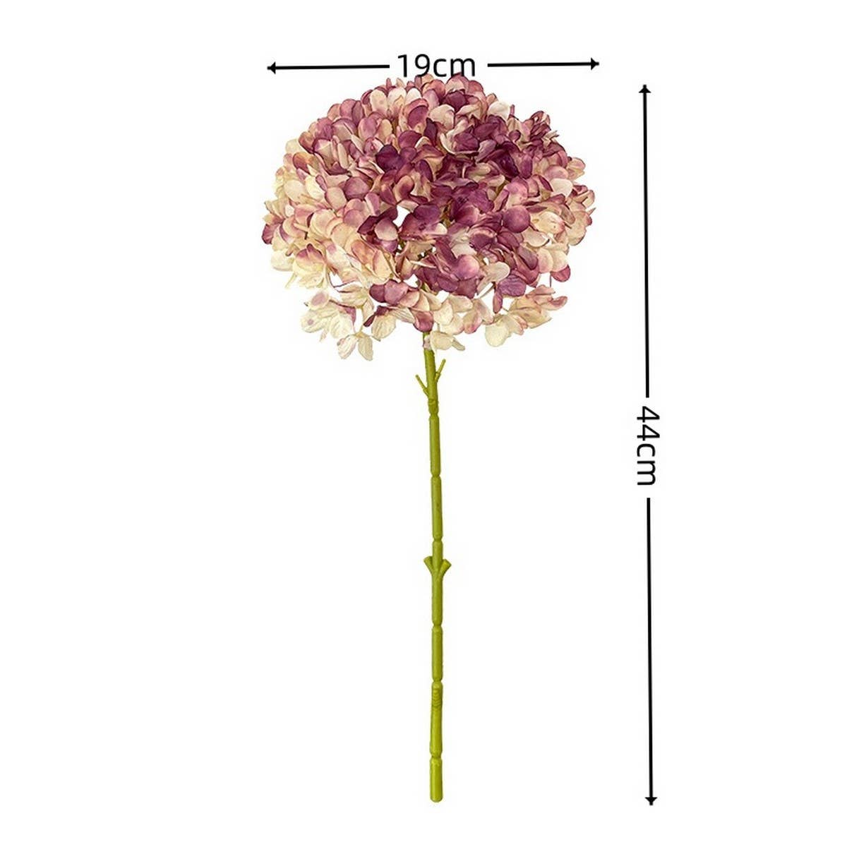 Autumn Vintage Single Stem Burnt Edge Hydrangea_CWMM6480