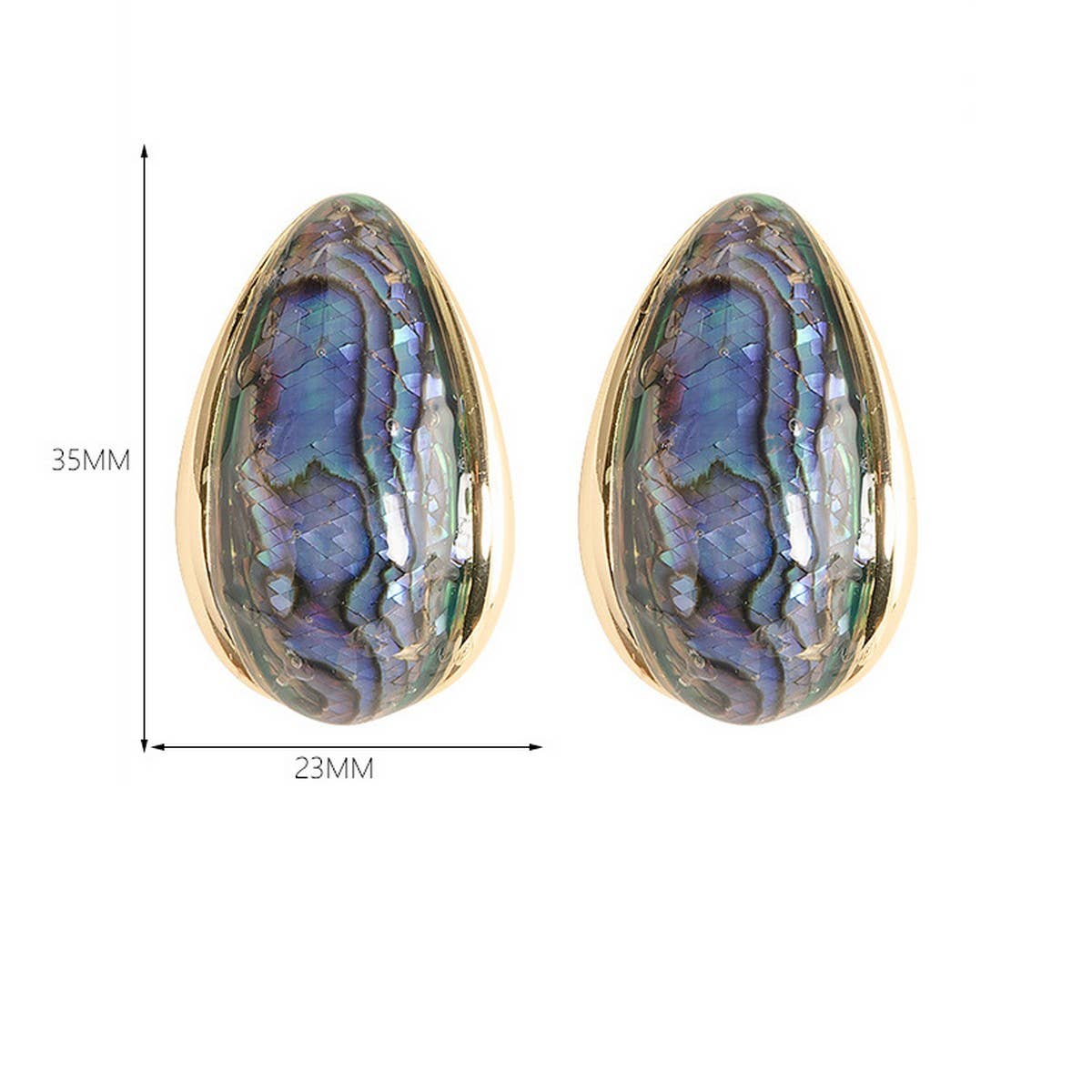 COLORFUL NATURAL ABALONE SILVER NEEDLE EARRINGS