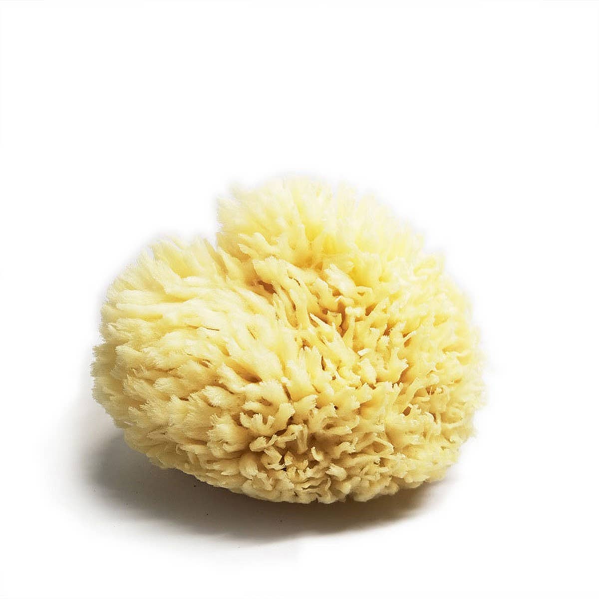 NATURAL WOOL SPONGE BATH SUPER SOFT BATH SPONGE