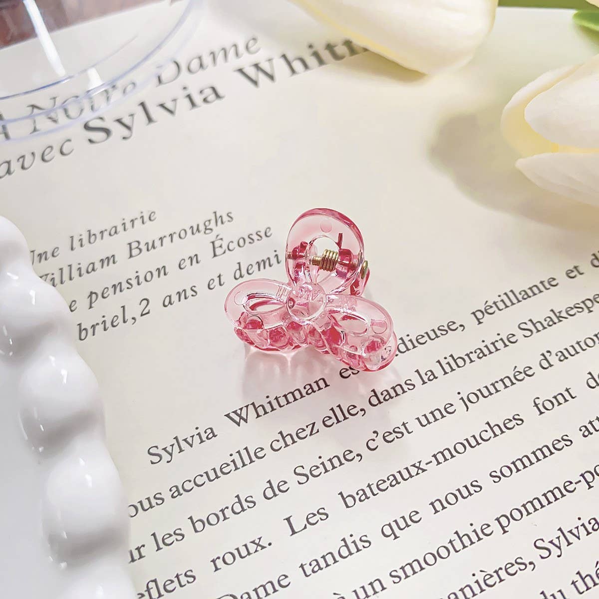 RAINBOW MINI TRANSPARENT GRIPPER CLAW CLIP_CWAHA0721