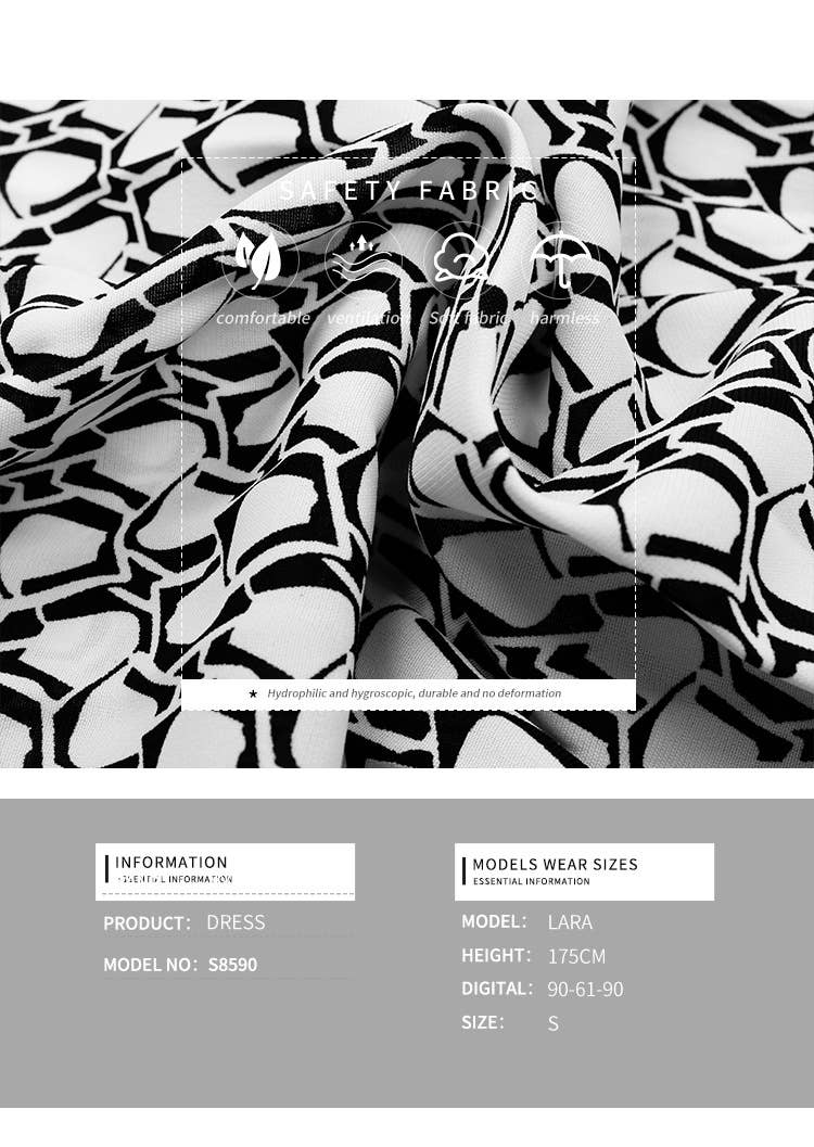 Printed pleated skirt dress for women_CWDSD3403