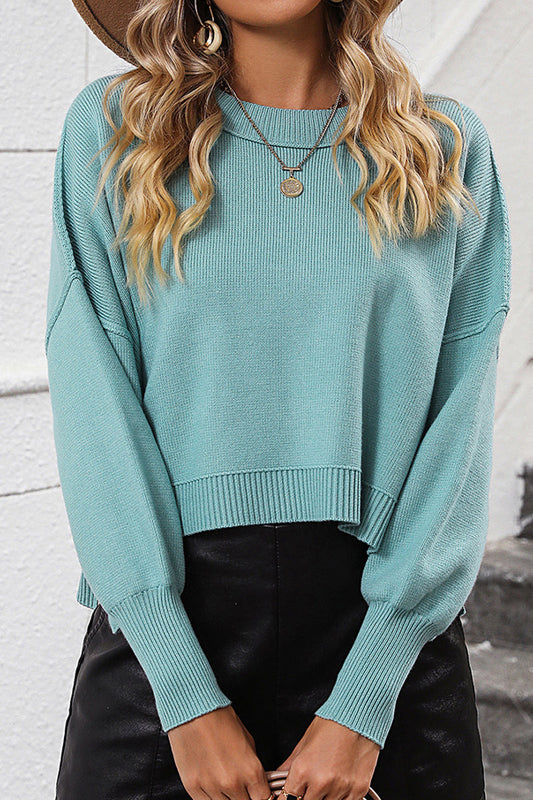 WOMEN RIBBED HEM FITTED SLEEVE KNIT JUMPER TOP