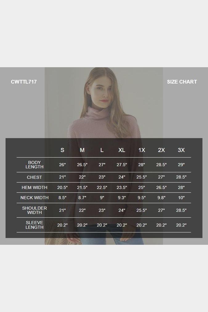 TURTLE HIGH NECK SWEATER KNIT TOP - Doublju