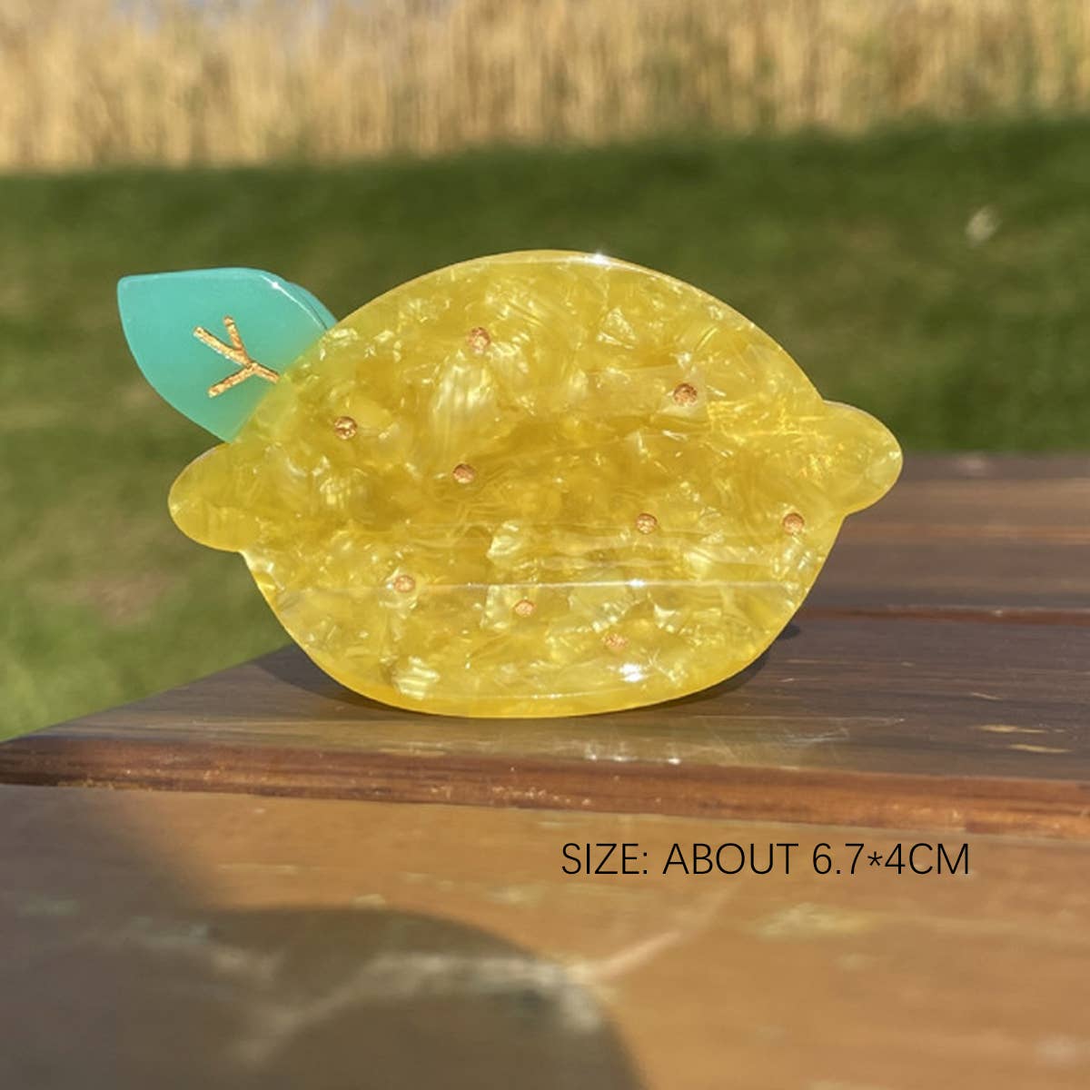 2024 NEW SIMPLE FRUIT GRABBER HAIRPIN_CWAHA0956