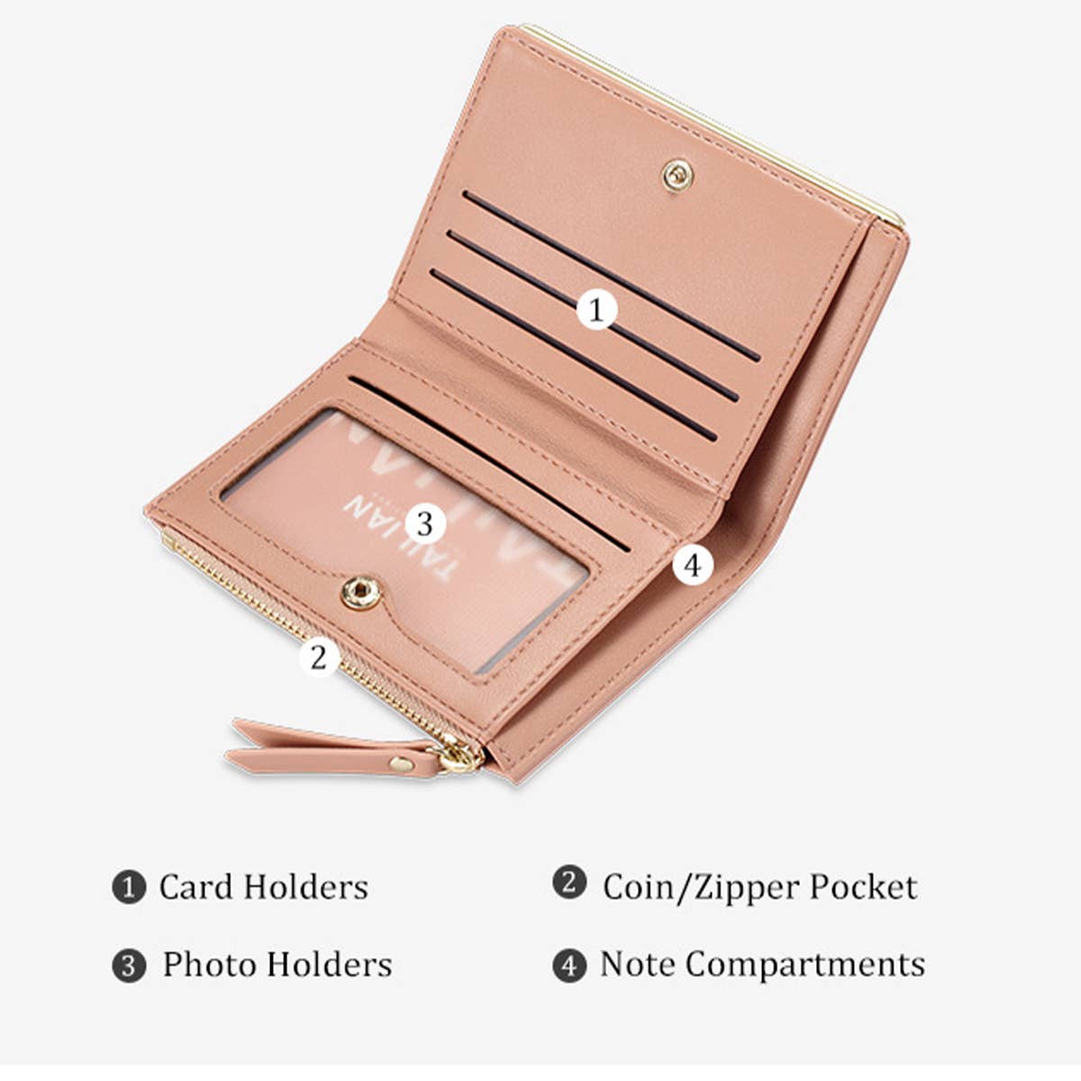 SHORT MULTI CARD CUTE WALLET_CWAB1652