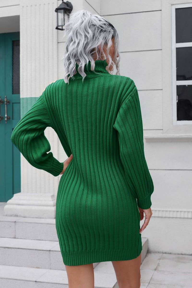 CWDSD5969_RIBBED TURTLENECK KNITTED SWEATER DRESS