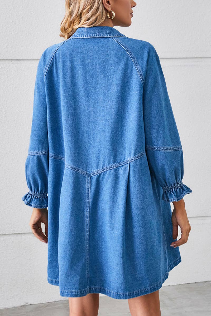 Loose wash long sleeve denim single breasted short dress
