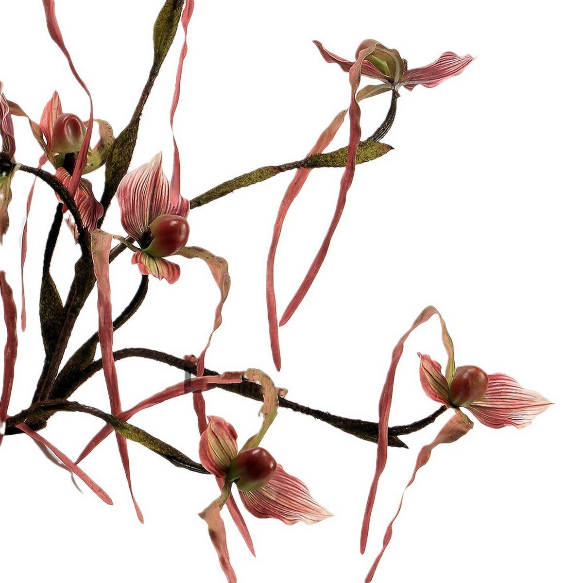 Artificial 3-Head Leafless Slipper Orchid Stem_CWMM6519