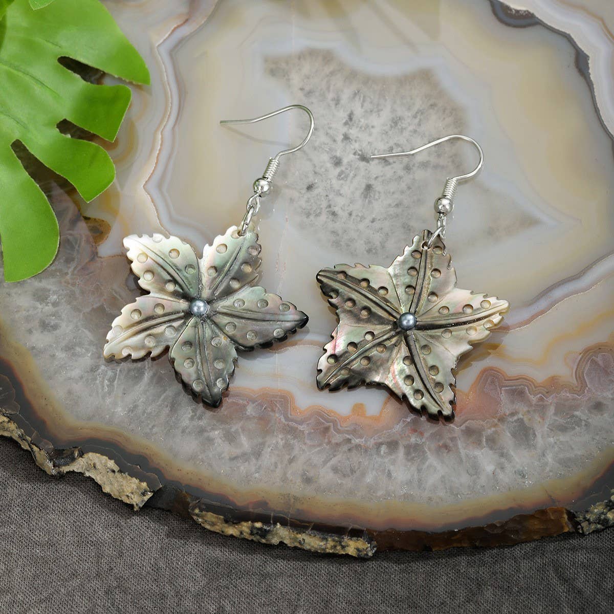 NATURAL BLACK SHELL STARFISH CARVING EARRINGS