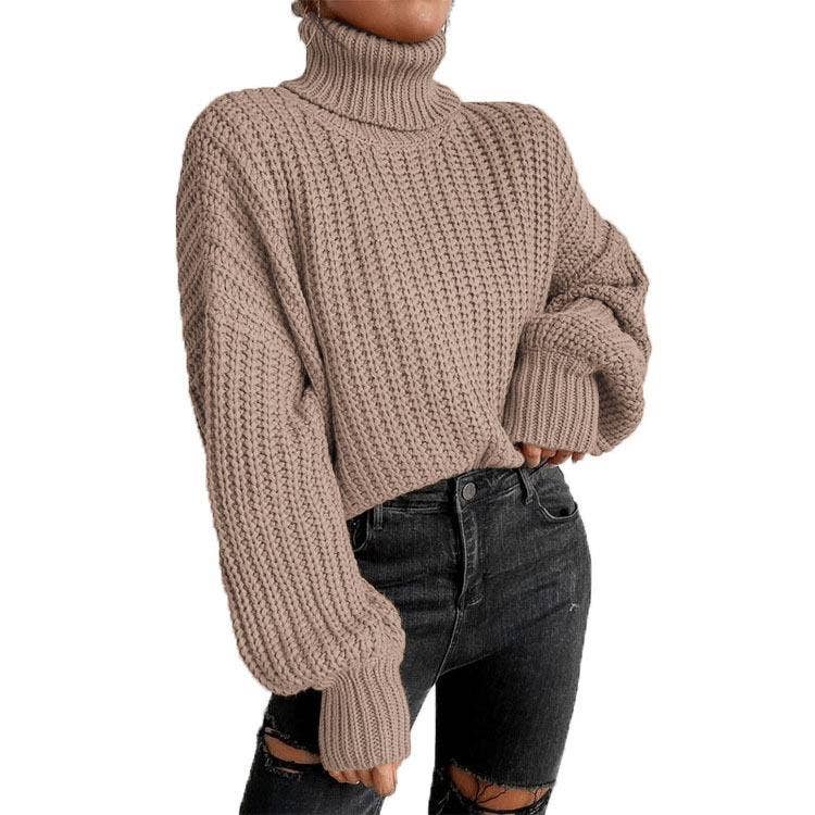 Long-Sleeved Pullover Turtleneck Sweater_Cwoswl3836