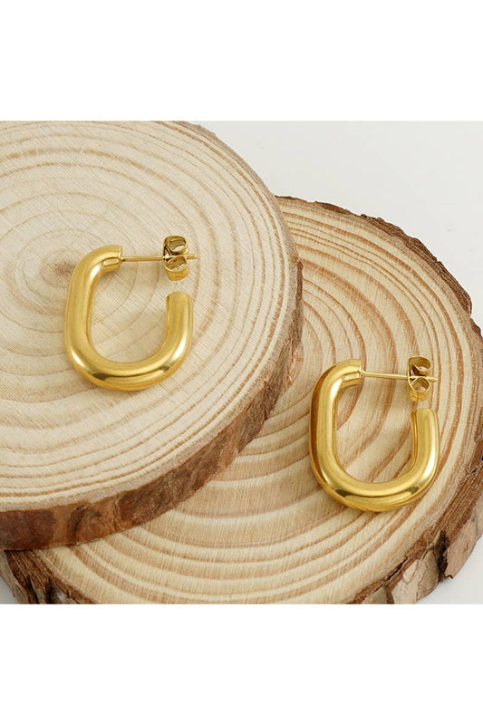 18K GOLD PLATED STAINLESS STEEL EARRINGS_CWAJE0383