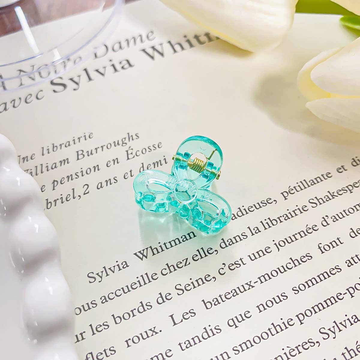 RAINBOW MINI TRANSPARENT GRIPPER CLAW CLIP_CWAHA0721