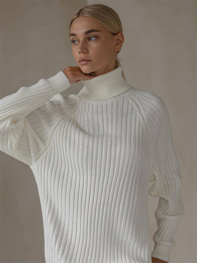 PIT STRIP SOLID COLOR TURTLENECK SWEATER DRESS