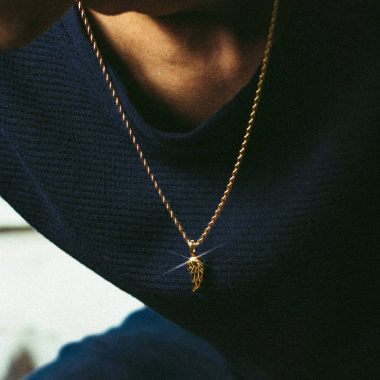 Stainless Steel Men's Wing Pendant Necklace_CWMM5558