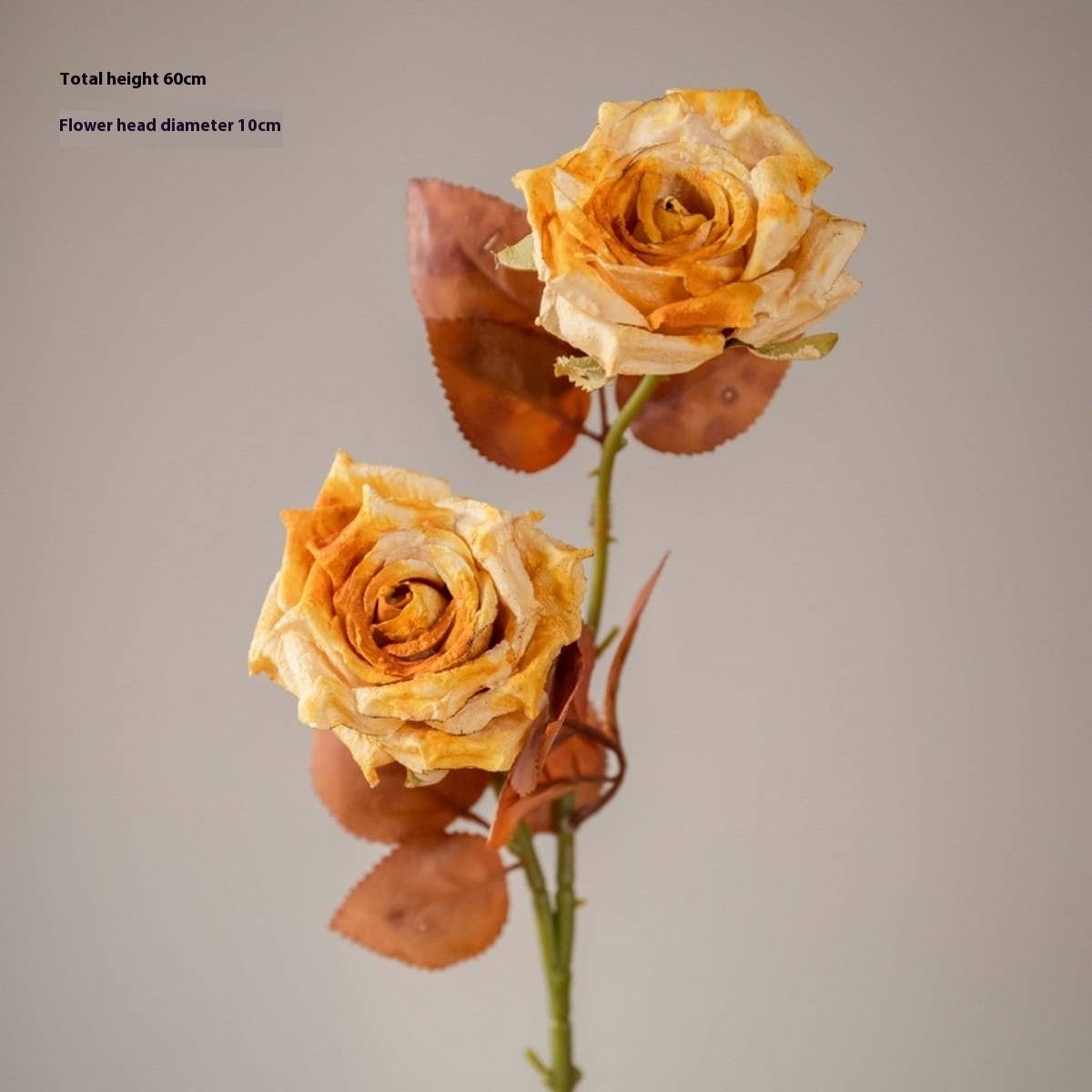 Dried Tone Burnt Edge Rose Bouquet for Decor