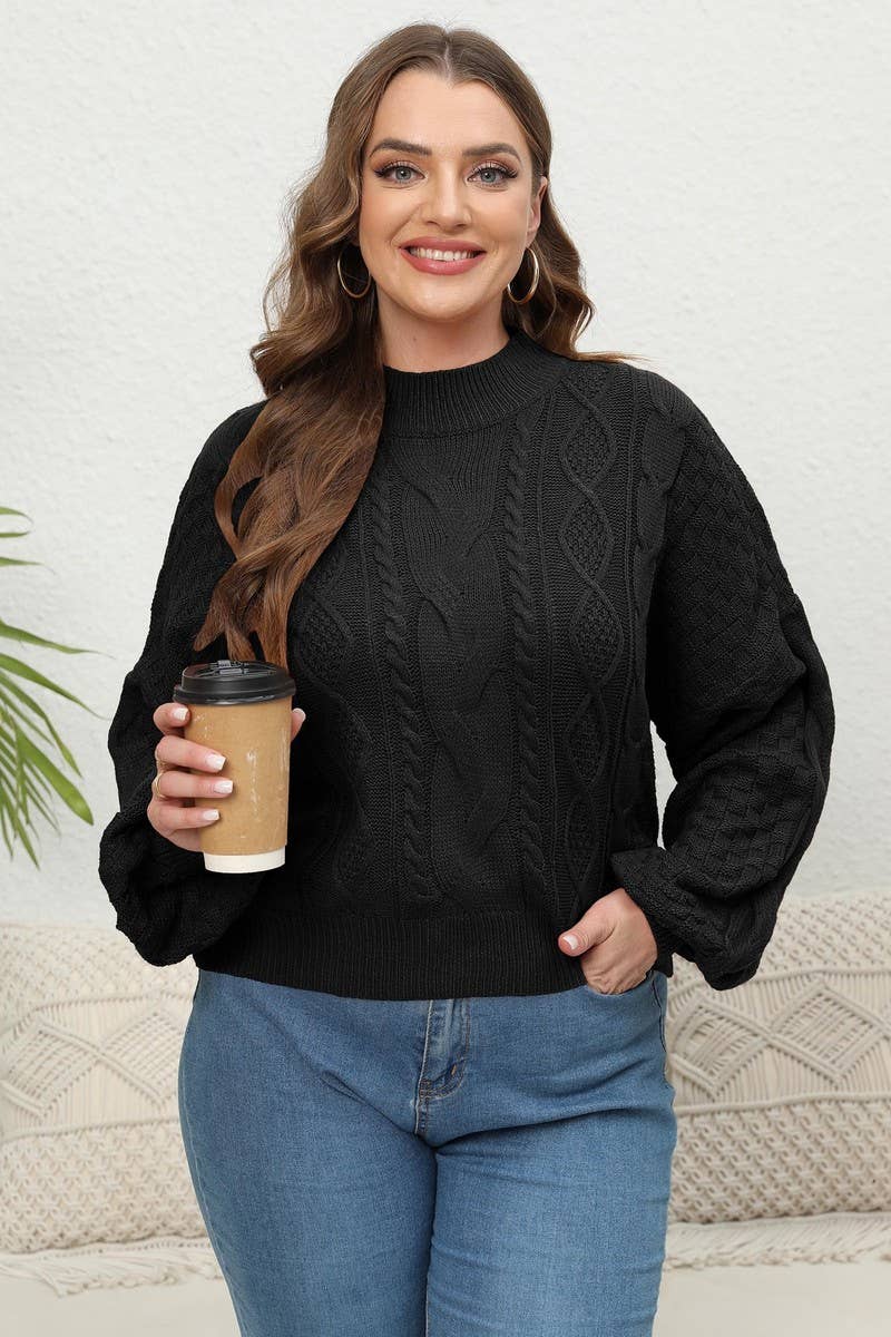CWOSWL1572_PLUS Size Crew Neck Pullover Long Sleeve Sweater