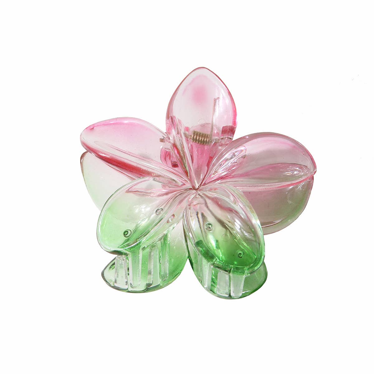 New Gradient Plumeria Claw Clip for Women_CWAHA1057