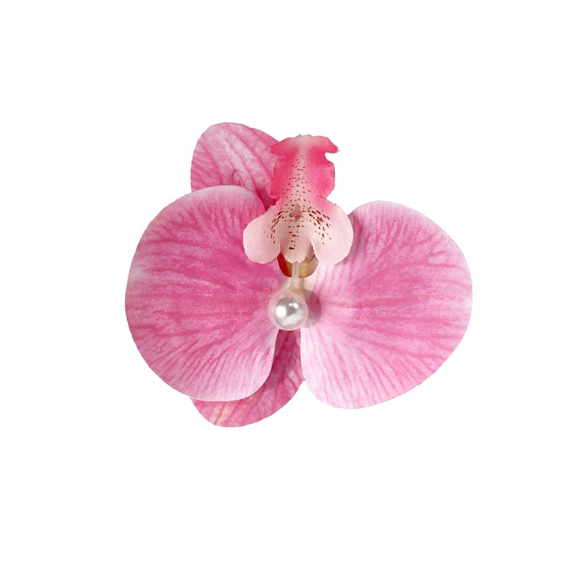 Sweet and realistic butterfly orchid hair clips